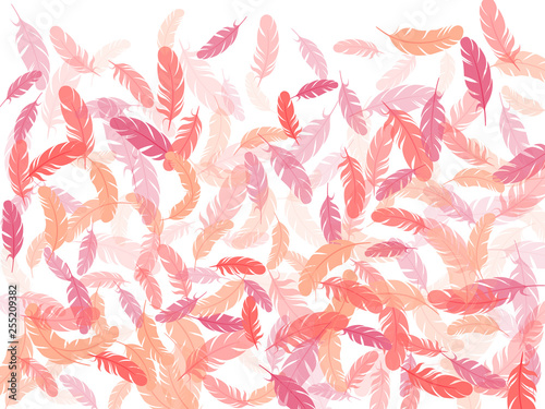 Falling feather elements soft vector design.
