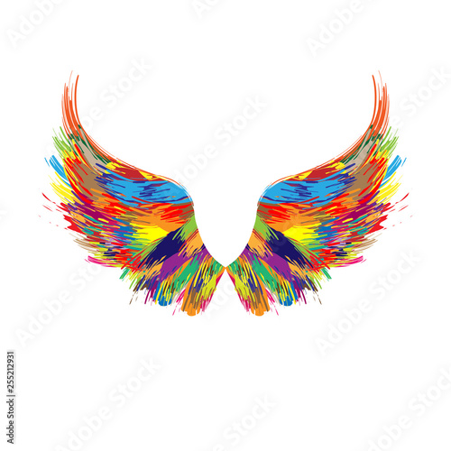 Color wings silhouette