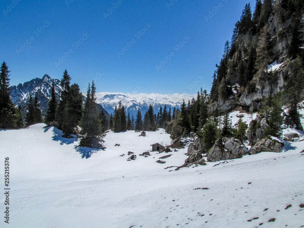 View of snowy austrian alps with old wooden hut, trees, sunny weather at wonderful blue sky