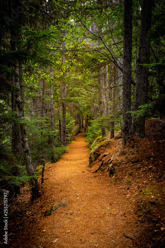 View from trail to lower and upper Dewey lake  Starting from Skagway Alaska 