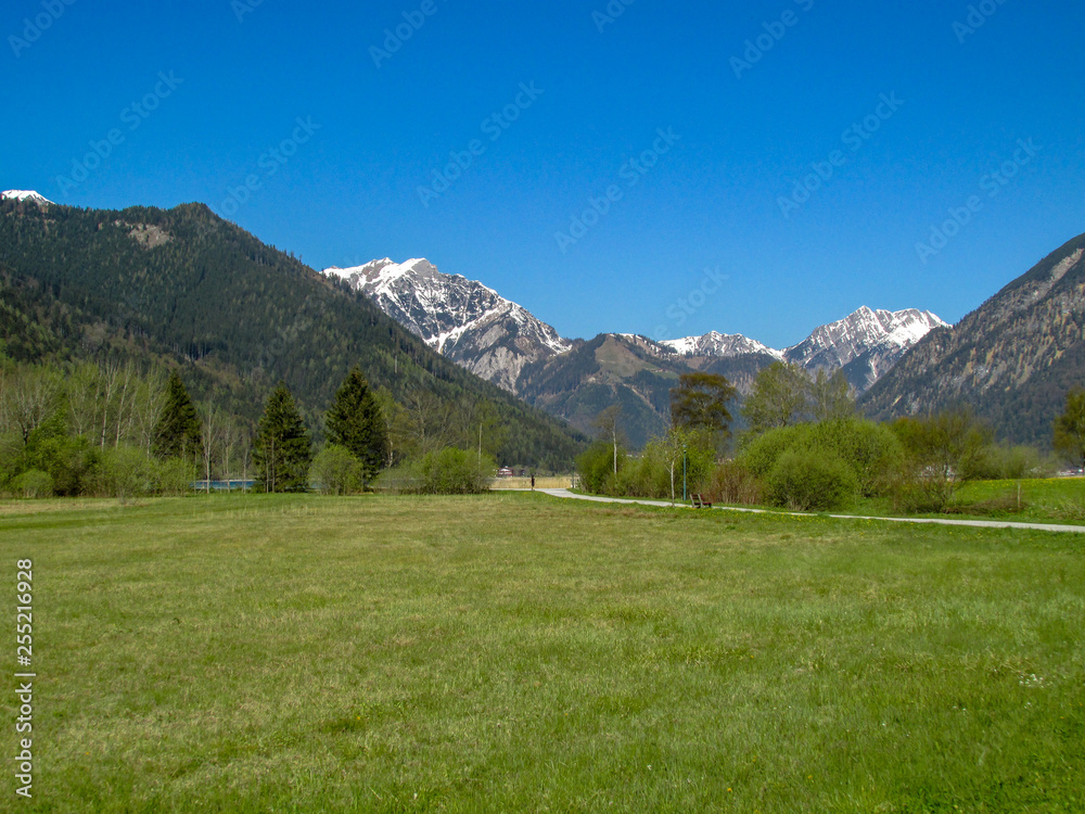 View of green sunny Austrian Alps in Tyrol with snowy mountains in the background at blue sky
