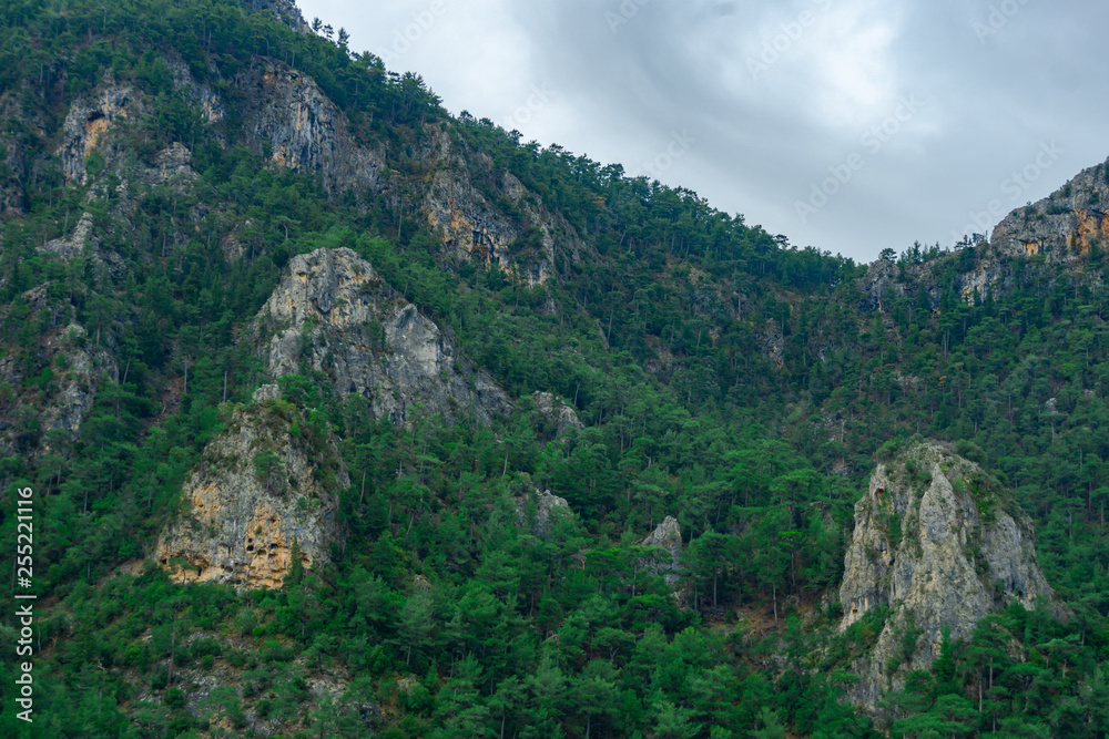 Obraz premium Forest and mountain in Fethiye, Mugla, Turkey