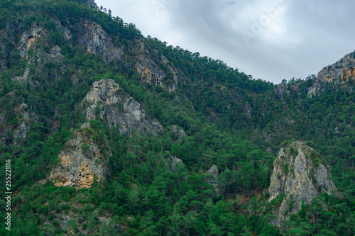 Forest and mountain in Fethiye, Mugla, Turkey