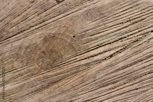 Knot in timber