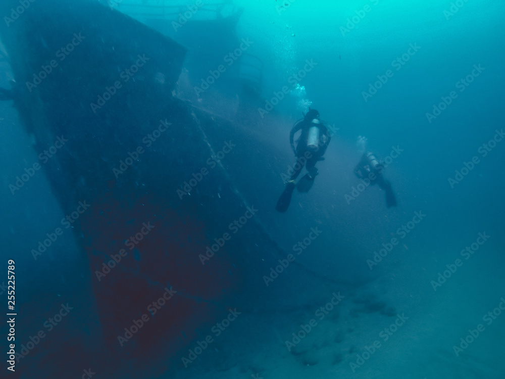 custom made wallpaper toronto digitalscuba diver in the sea with ship wreck