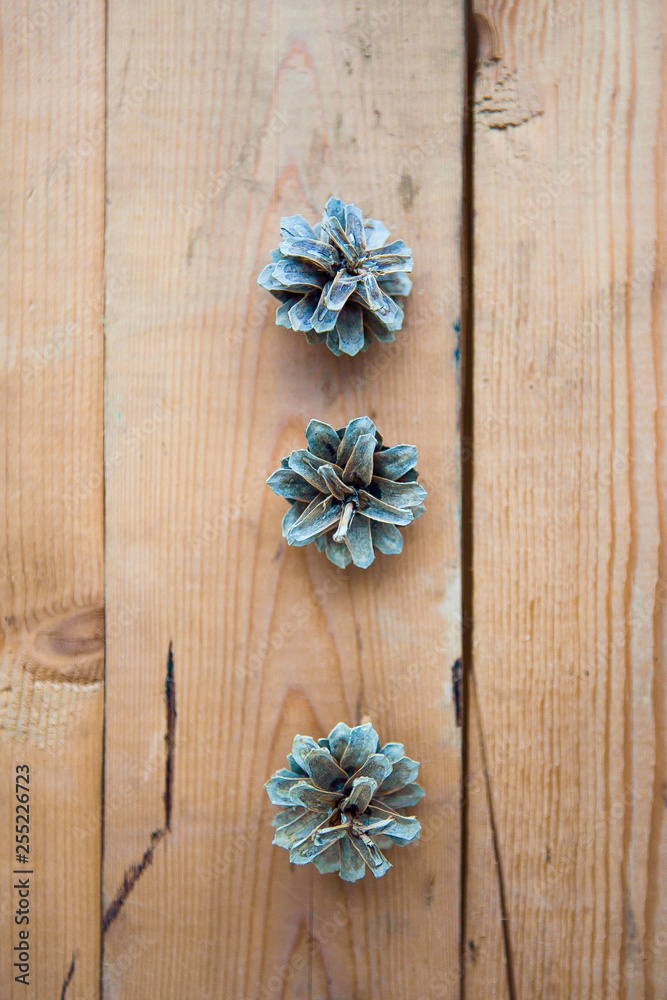 Pine cones on the wood ground