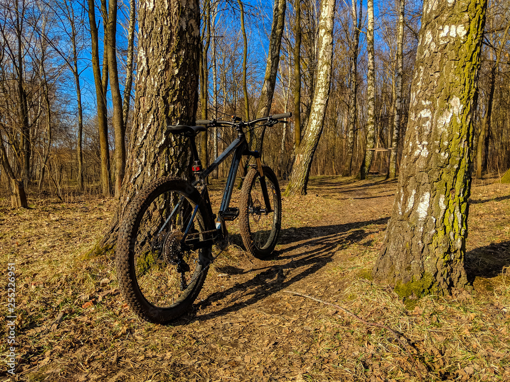 Fototapeta premium MTB bicycle on the trail in the spring season