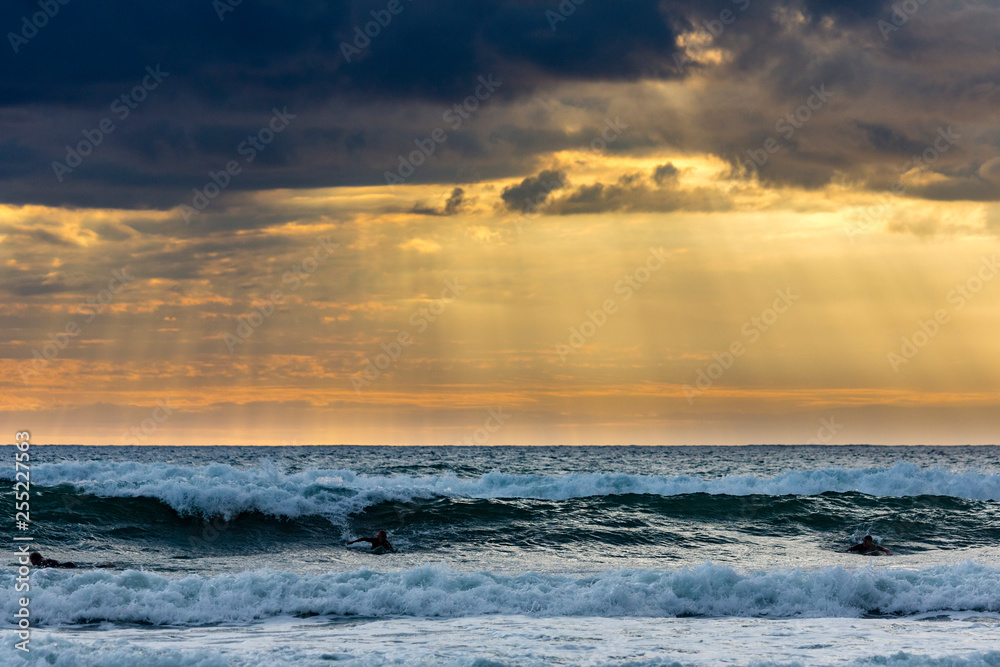 Obraz premium Sufers riding into colorful sunset at Piha Beach, New Zealand