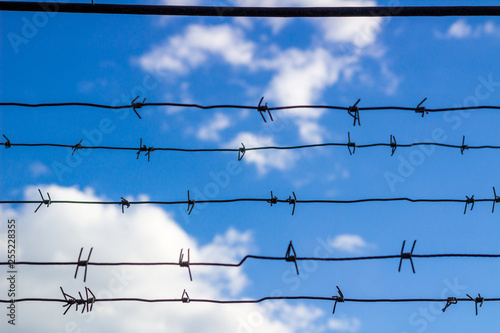 Barbed wire closes blue sky