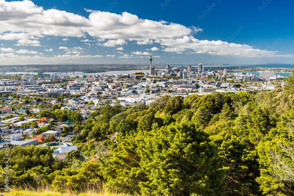 Obraz premium Viewpoint to Auckland City from Mt. Eden, New Zealand