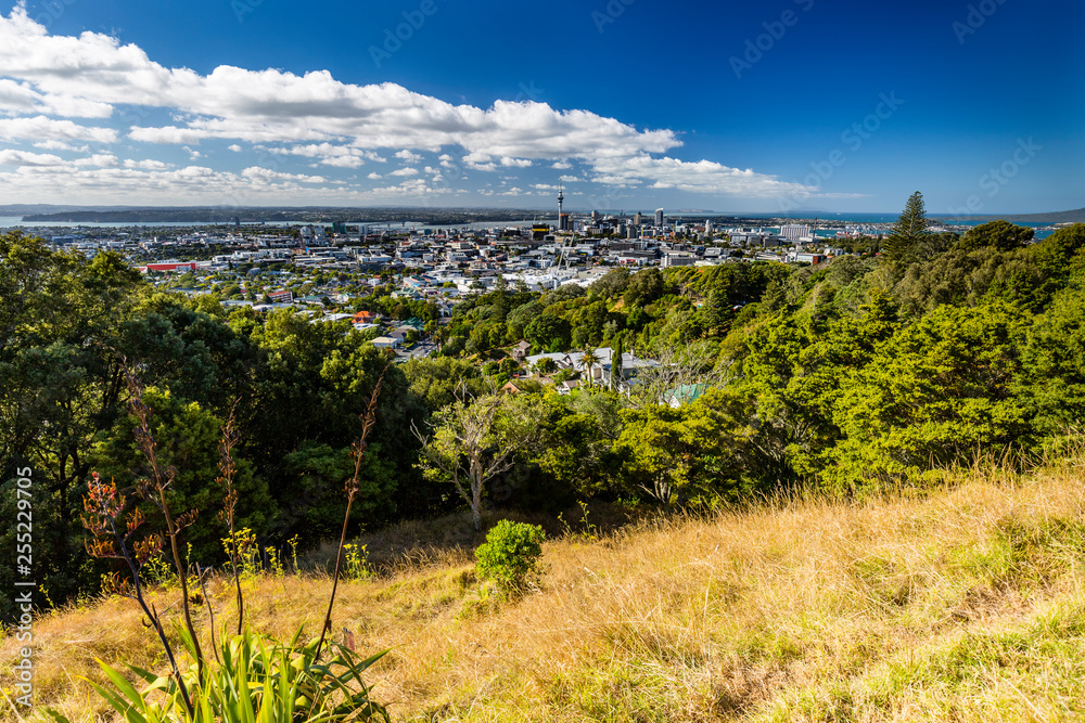 Viewpoint to Auckland City from Mt. Eden, New Zealand