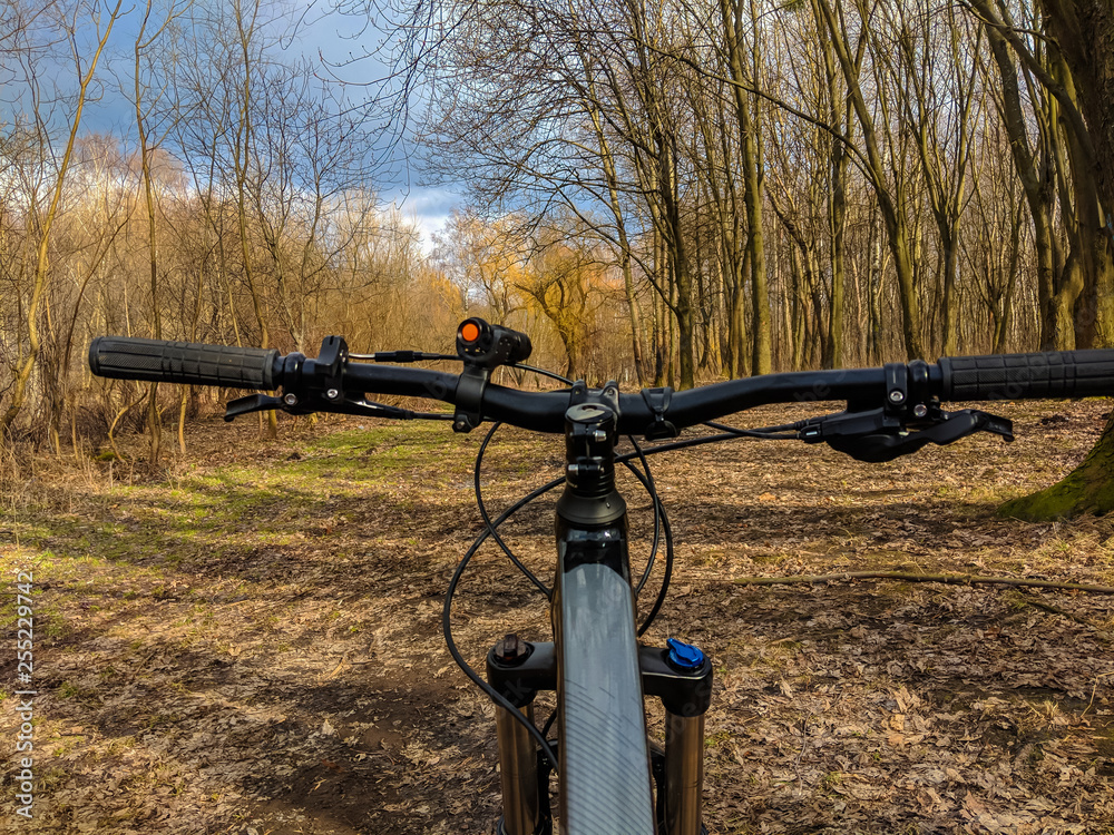 MTB bicycle on the trail in the spring season