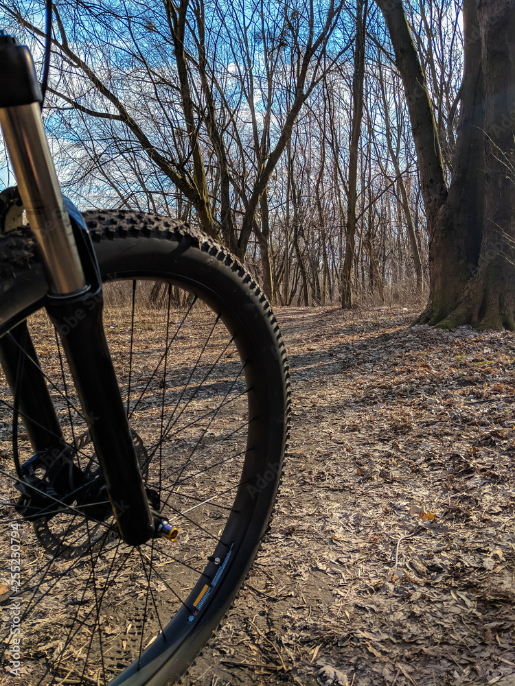 MTB bicycle on the trail in the spring season