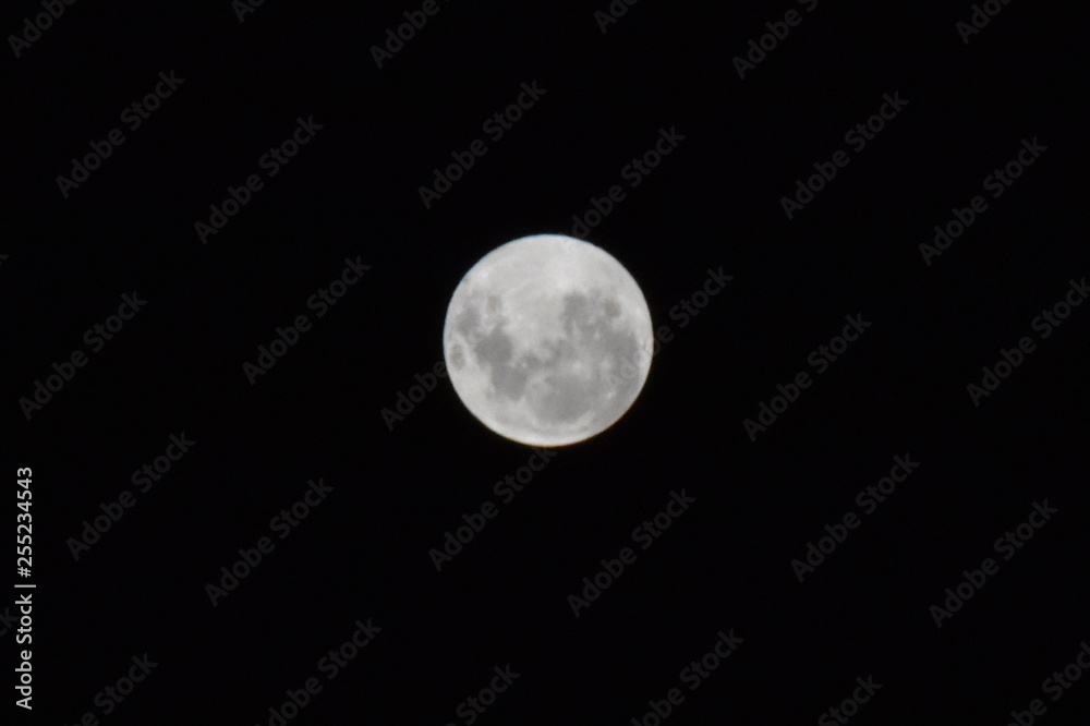 Moonlight Moonlight