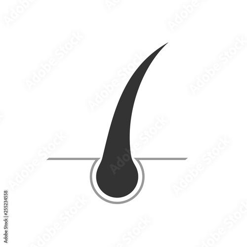 hair detail illustration