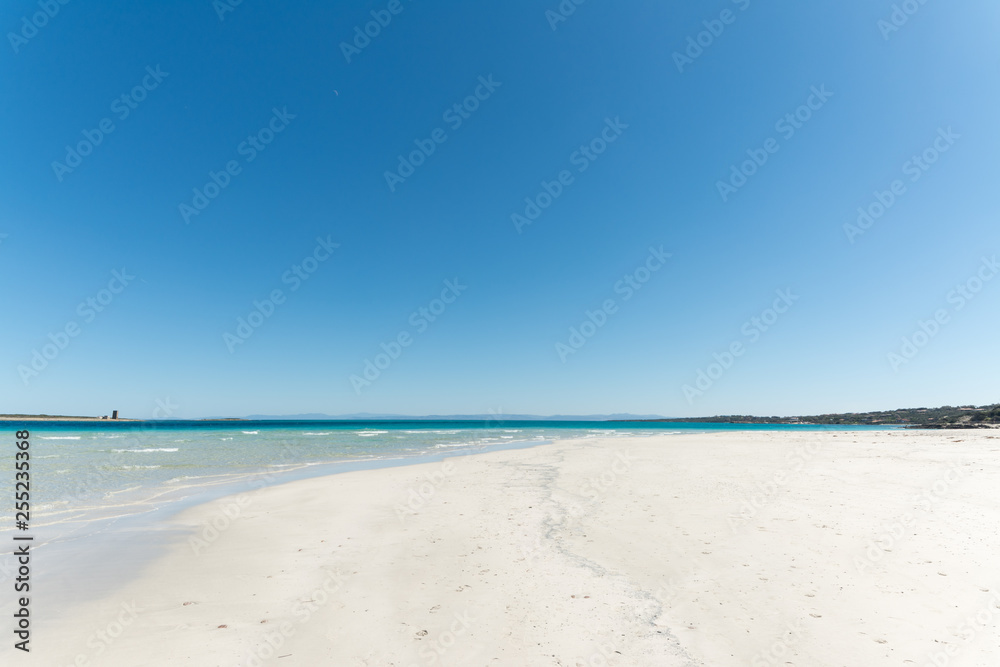 landscape of empty tropical beach