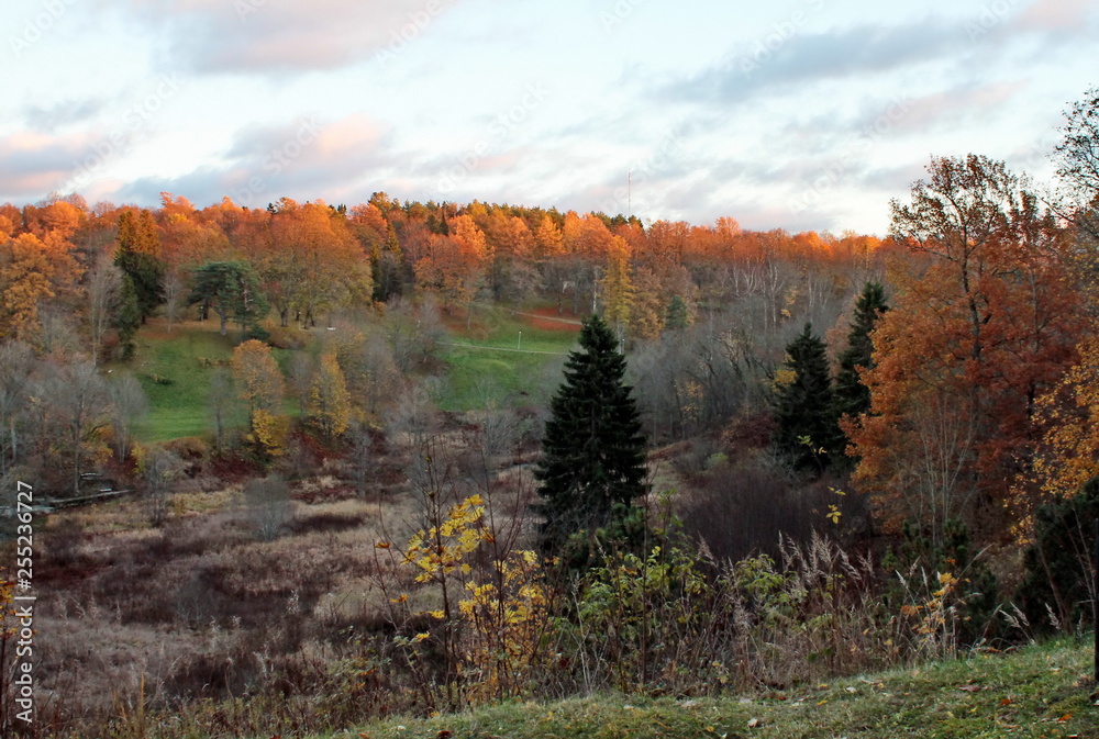 Fototapeta premium autumn in the mountains