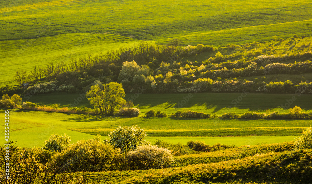 Moravian Tuscany in spring Moravian Tuscany in spring