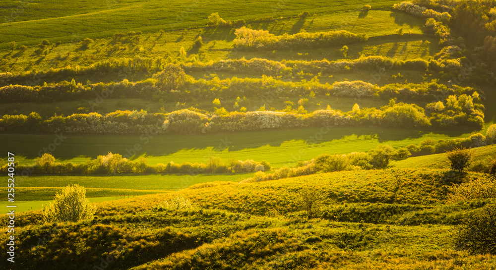 Moravian Tuscany in spring