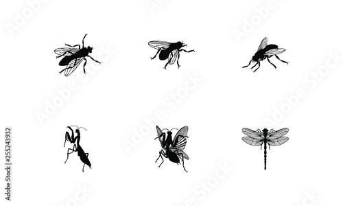 silhouettes of insects vector illustration