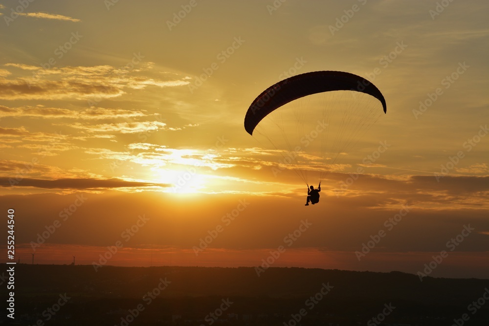 Paraglider Paraglider