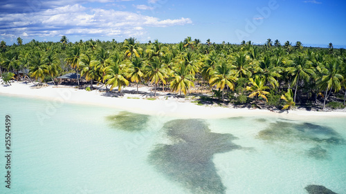 Aerial of a wonderful exotic tropical caribbean beach  Saona  Dominican Republic 