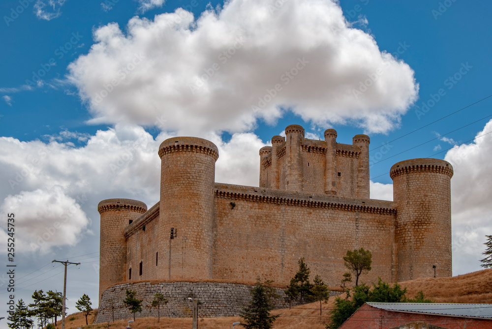 Castle at Torrelobaton, Valladolid