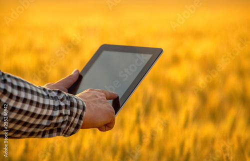 Businessman is on a field of ripe wheat and is holding a Tablet computer. The concept of the agricultural business.