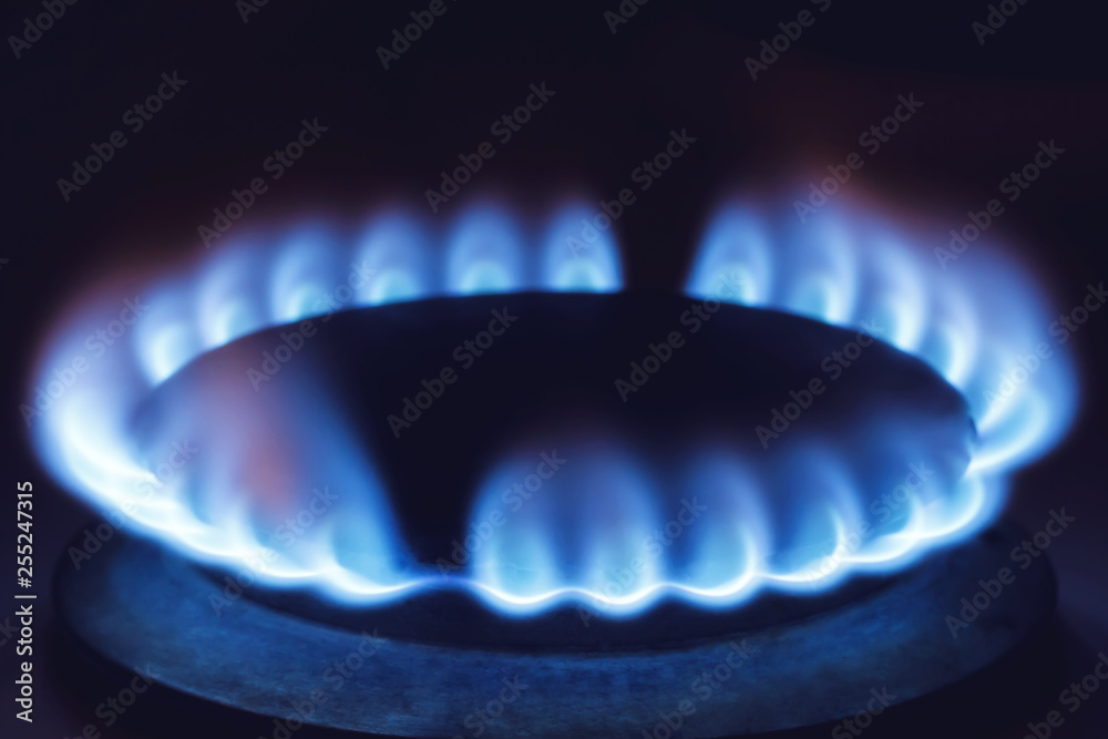 Natural gas burning on kitchen gas stove Natural gas burning on kitchen gas stove