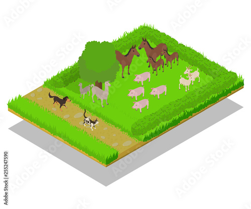 Domestic animal concept banner. Isometric banner of domestic animal vector concept for web, giftcard and postcard