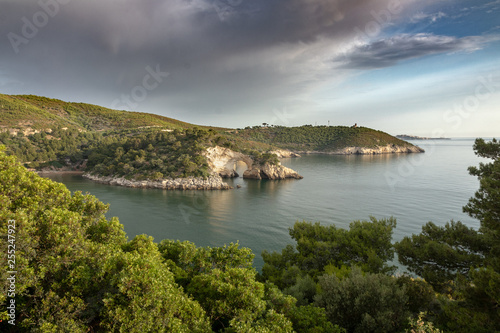 View of calm and green foliage covered beautiful bay during peaceful morning. Amazing light, just a few clouds in the sky. Mediterranean coast, beautiful cliffs and arches. Subtropic location.