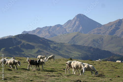 Hautes Pyrénée, Plo del Naou-4