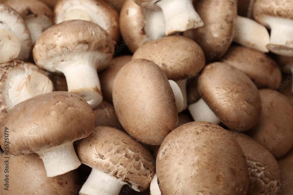 Fresh raw champignon mushrooms as background, closeup Fresh raw champignon mushrooms as background, closeup