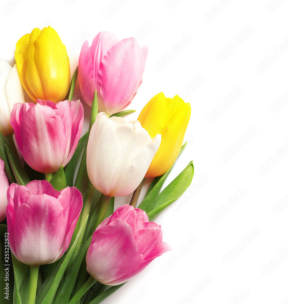 Fototapeta premium Beautiful spring tulips on white background, top view. International Women's Day