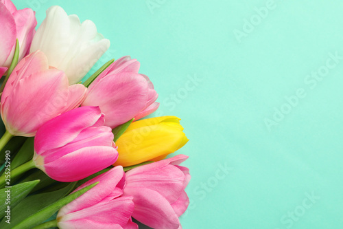 Fototapeta Naklejka Na Ścianę i Meble -  Spring tulips on color background, top view with space for text. International Women's Day