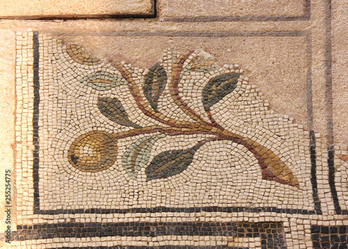 ramo con frutti; mosaico pavimentale romano; area archeologica delle Domus dell'Ortaglia, Brescia