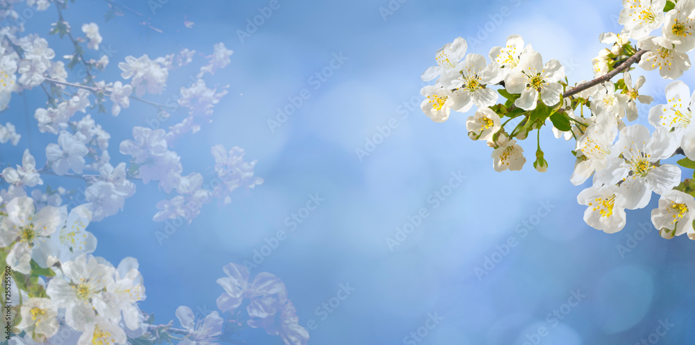 Abstract spring background Abstract spring background