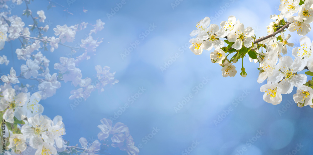 Abstract spring background