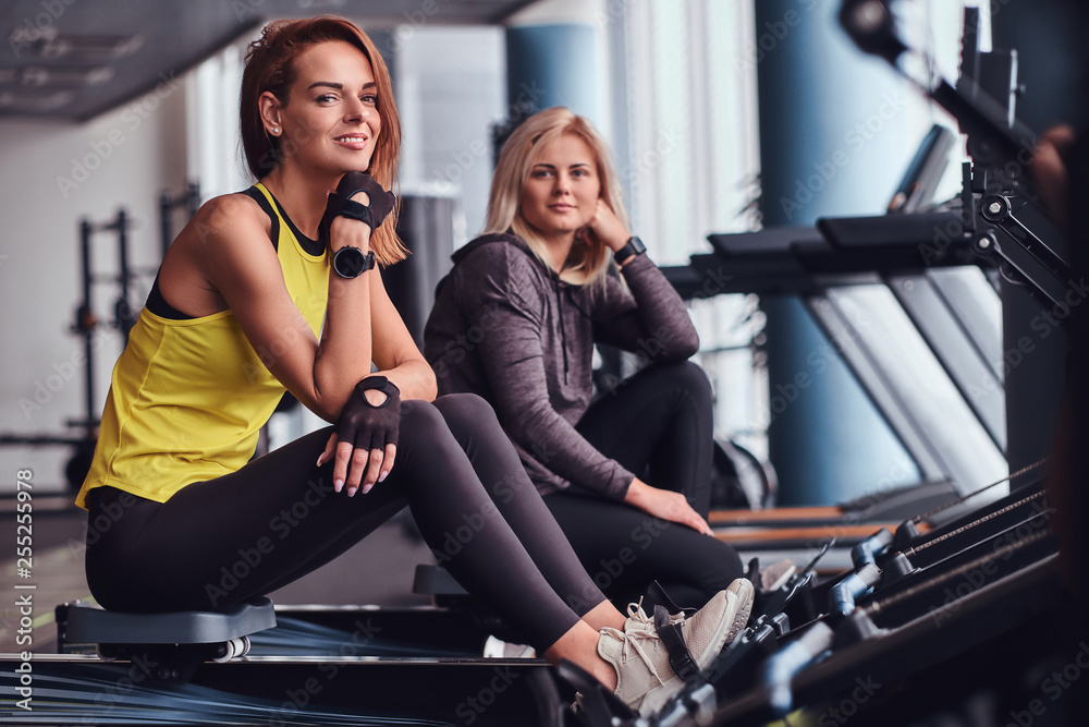 Two beautiful young women - sportive girl with her coach sitting on rowing machines at the modern gym. Two beautiful young women - sportive girl with her coach sitting on rowing machines at the modern gym.