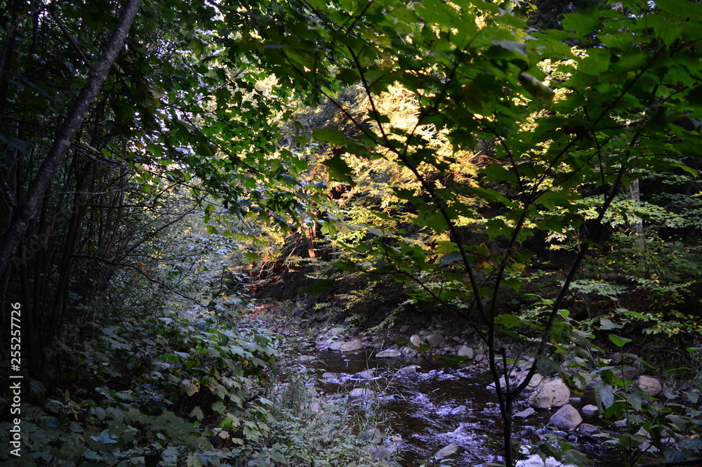 Naklejka premium Backpacking, Wilderness, roadtrip, Hiking, Michigan, Porcupine Mountains, Rivers