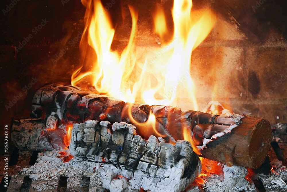 Fototapeta premium Burning firewood in the fireplace close-up. Close-up with burning logs and vivid burning orange and yellow flames. Flames crawl up the side of a piece of firewood in an open campfire.