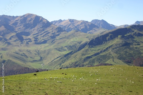Hautes Pyrénées Plo del Naou-1 photo