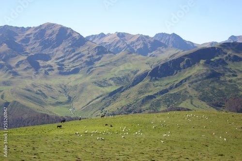 Hautes Pyrénées Plo del Naou-1