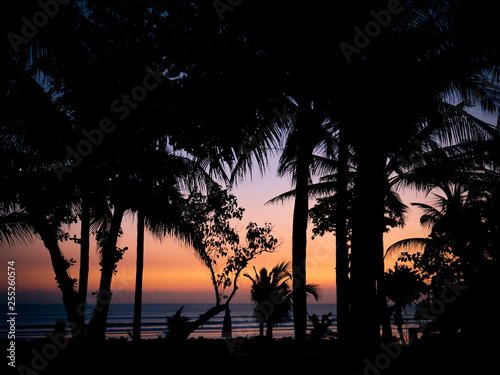 Palm tree silhouette at sunset in Bali