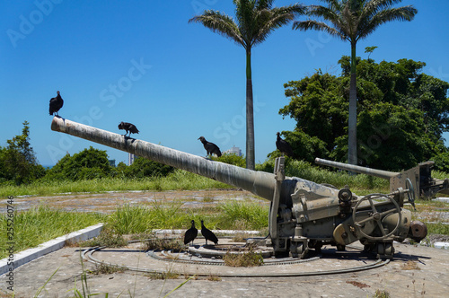 Old cannon pointed out to the sea with vulture, inside Marechal Hermes Fort, Macaé, Rio de Janeiro, Brazil