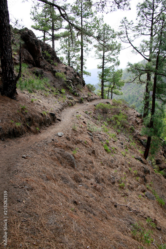 Wanderung vom Aussichtspunkt Cumbrecita- Taburiente Nationalpark Wanderung vom Aussichtspunkt Cumbrecita- Taburiente Nationalpark