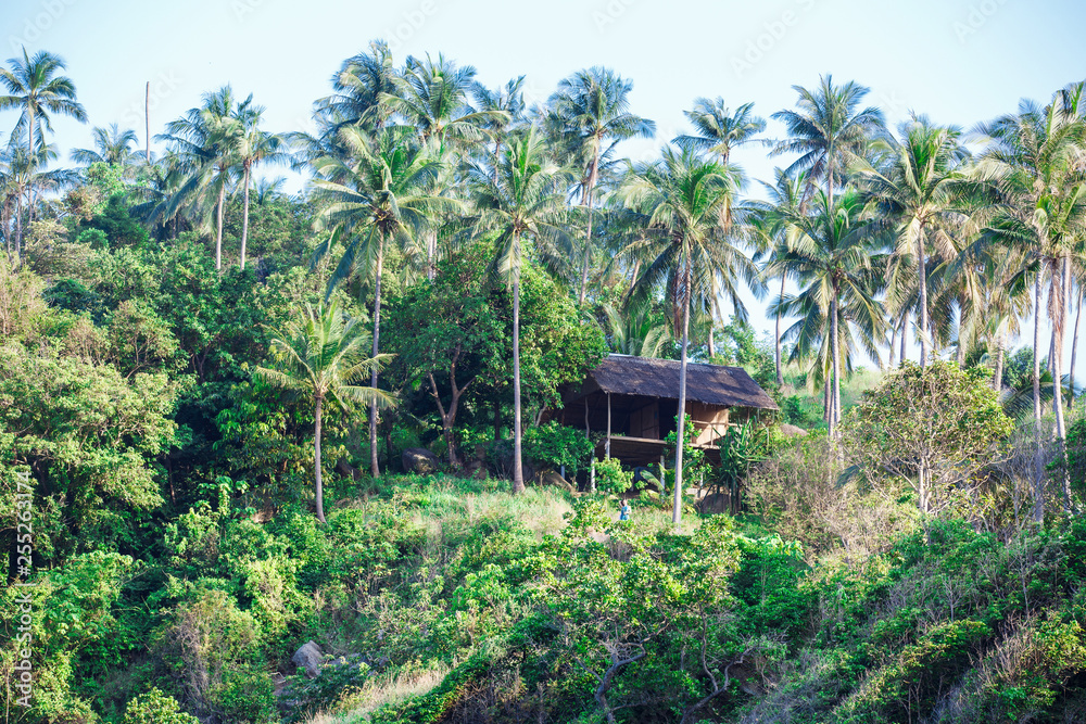 wooden Bungalow in the tropical jungle with palms 