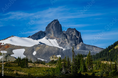 The Black Tusk