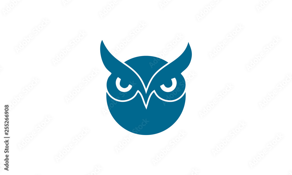 Obraz premium blue owl bird
