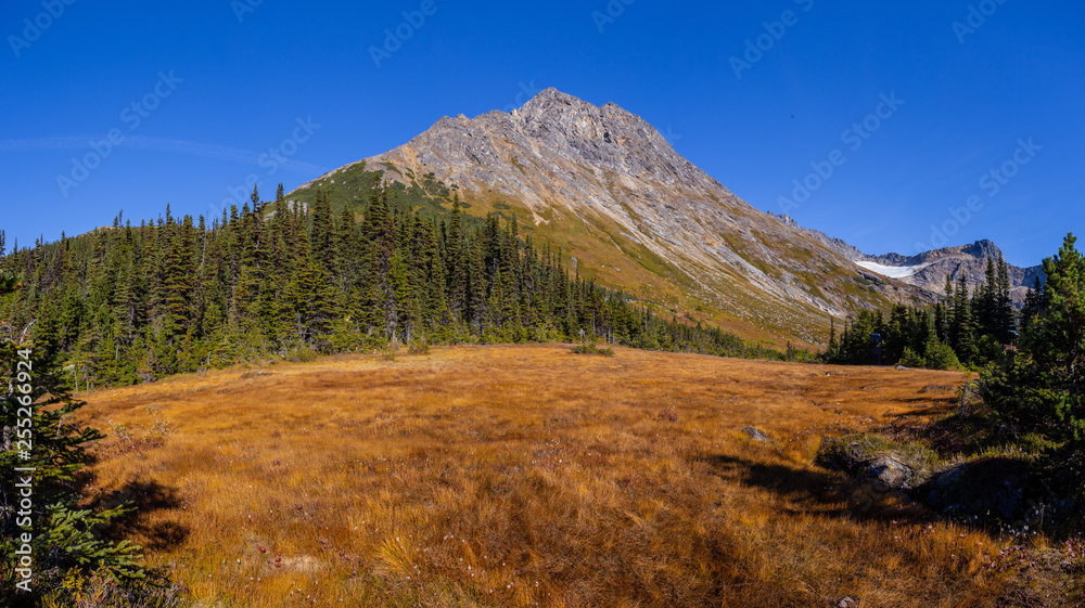 View from trail to lower and upper Dewey lake, Starting from Skagway Alaska 